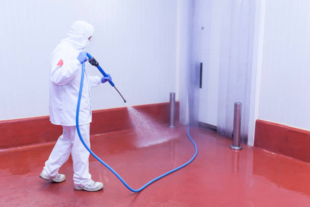 Best Graffiti Removal  in Lake City, PA